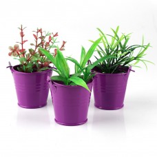 12×Pastoral Style Candy Box  Mini Tin Bucket Floor Hanging Flower Pot Plant Deco   392080919041